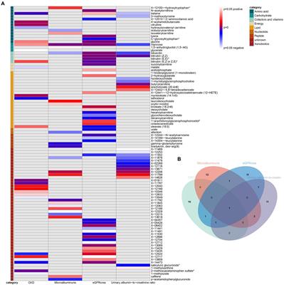 Causal effects of human serum metabolites on occurrence and progress indicators of chronic kidney disease: a two-sample Mendelian randomization study
